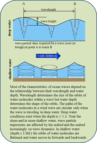 Orbital velocity diagram showing characteristics of oceans waves.